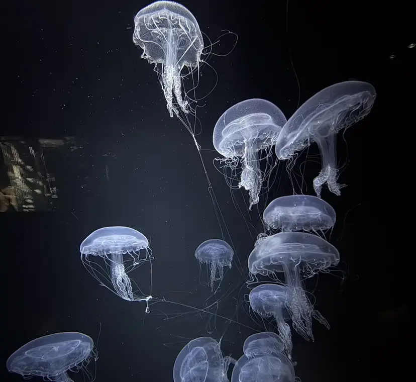 本間 颯太の掲載