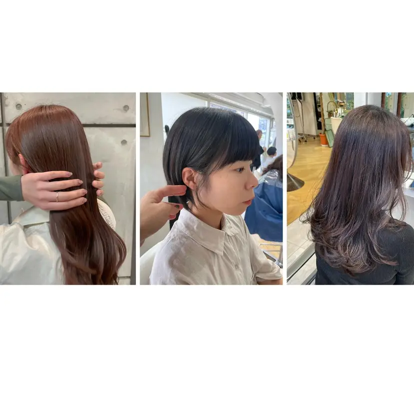 青木 あおいの掲載