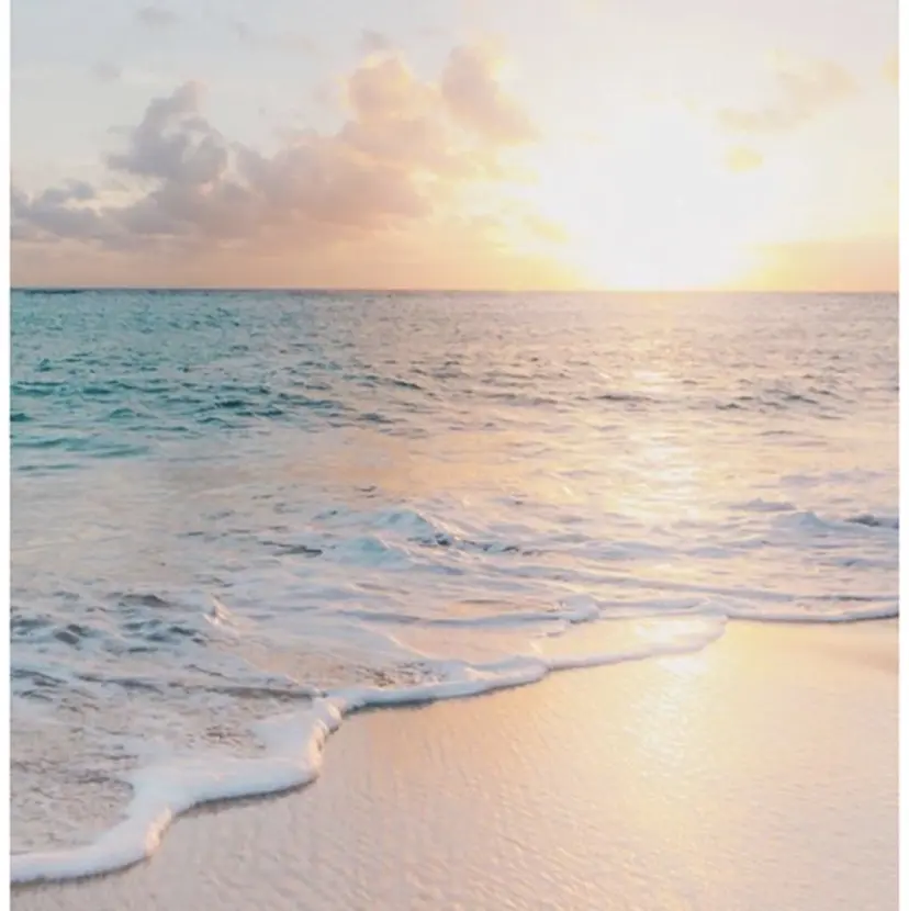 ECHIRE 高橋の掲載