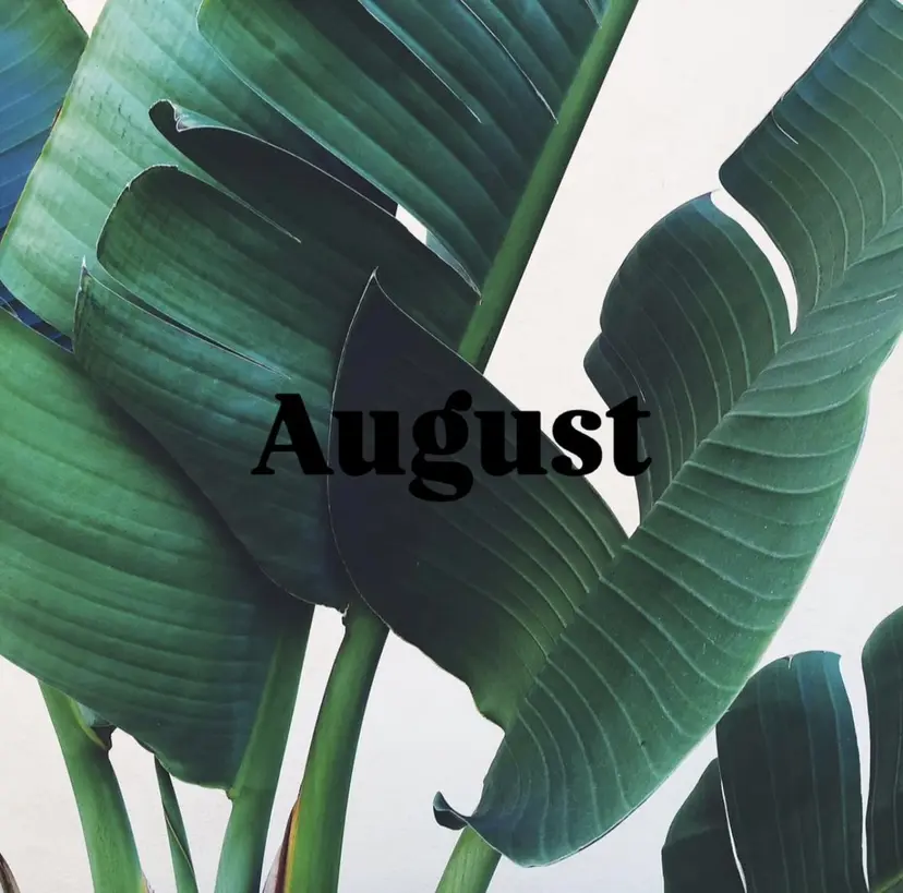 August 松崎の掲載