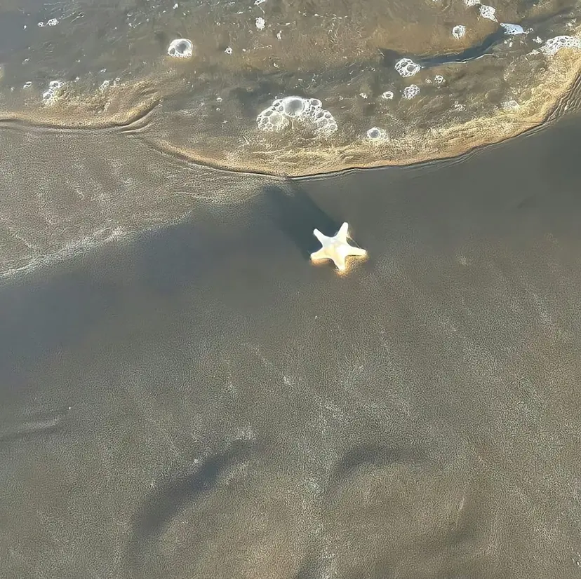 Allure戸祭店 yukinoの掲載