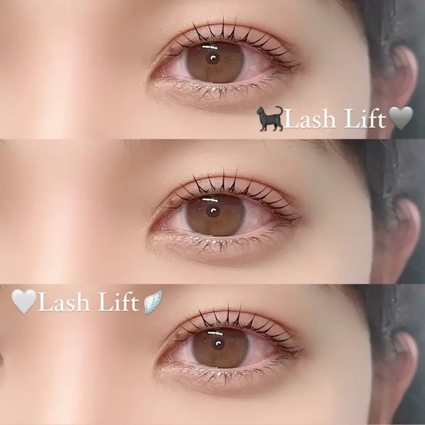 DL•BEAUTY / 『MONE』の掲載