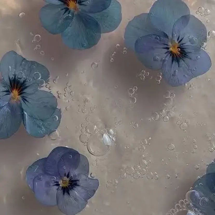 🦋春山 さとみ🦋の掲載