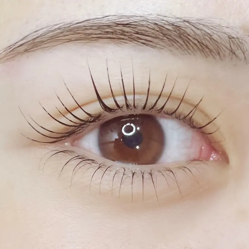 StarryLash Emiの掲載