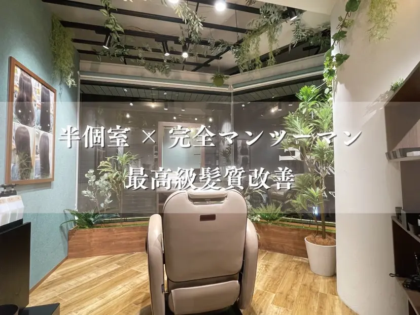 川中 琉以の掲載