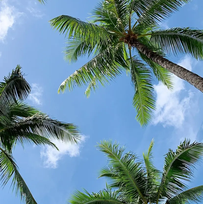 Jeremy ♡ HARUKAの掲載