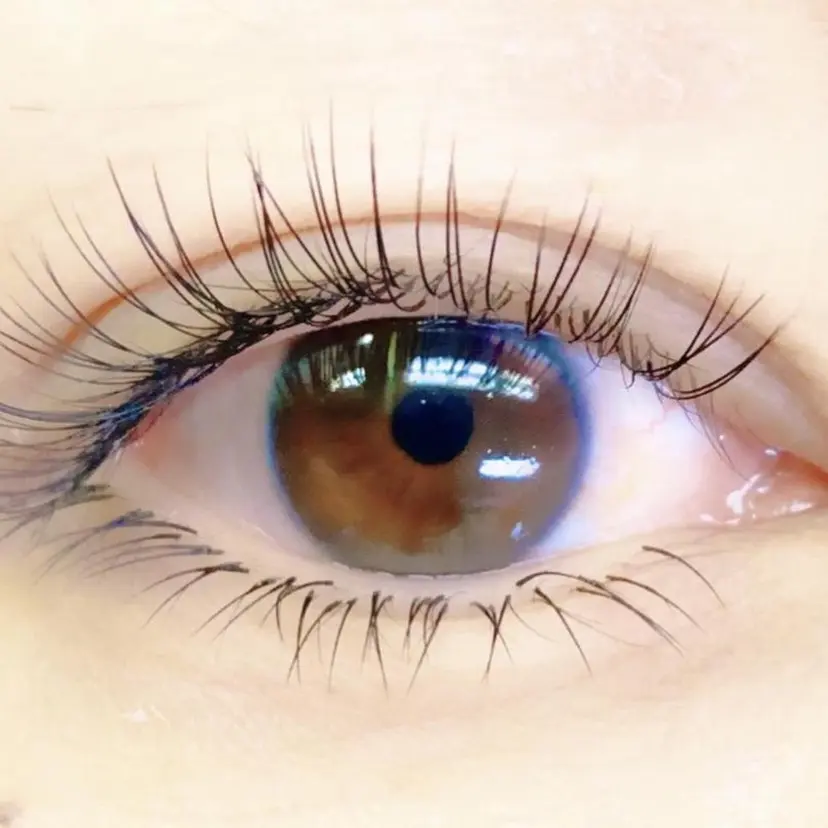 髙橋 つぐみの掲載