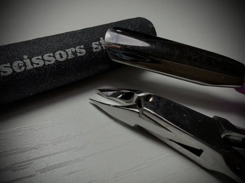 坂口 香代子の掲載