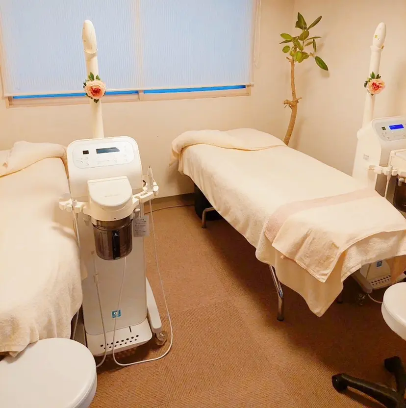 藤井 麻里絵の掲載