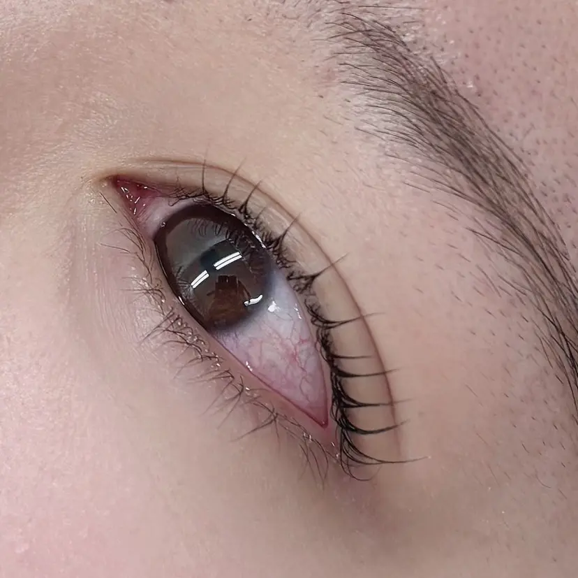 塚田 優花の掲載