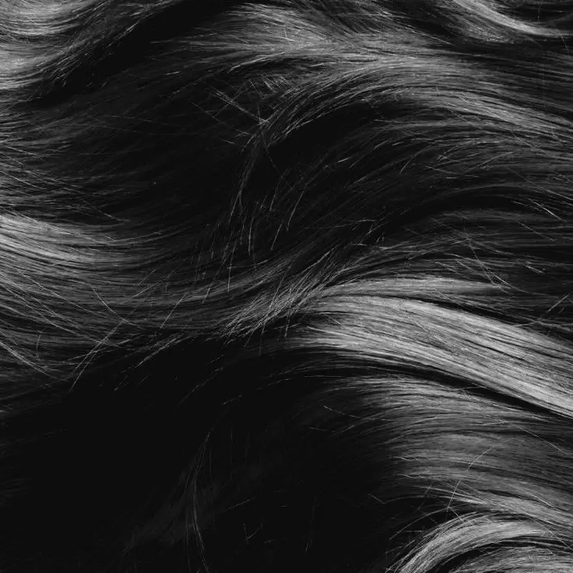 カラーモデル募集❗️ 清野 海真の掲載