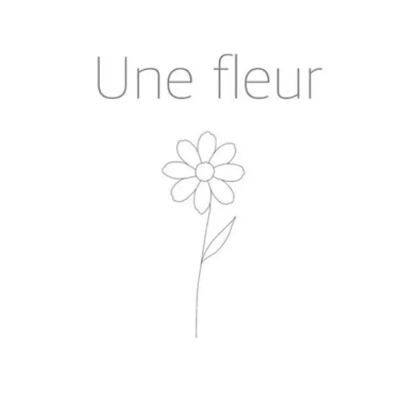 MIROH Komugiの掲載