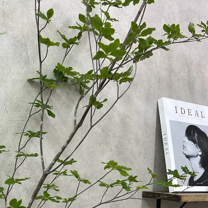 nail wrk. /JUNの掲載