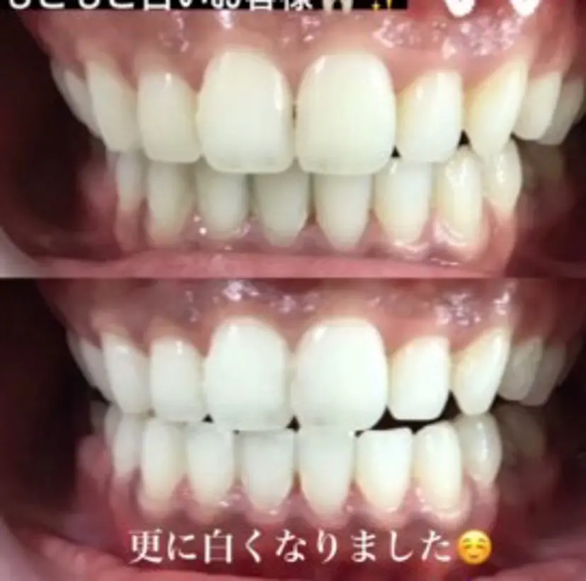 鈴木 美晶の掲載