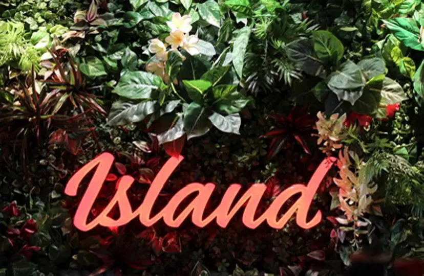 三田 遥菜の掲載