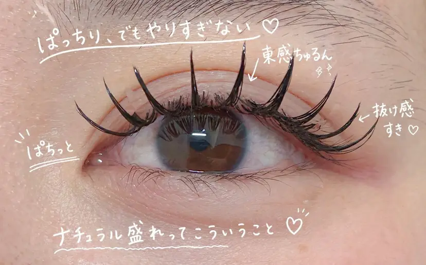 eyelash/ Coaの掲載