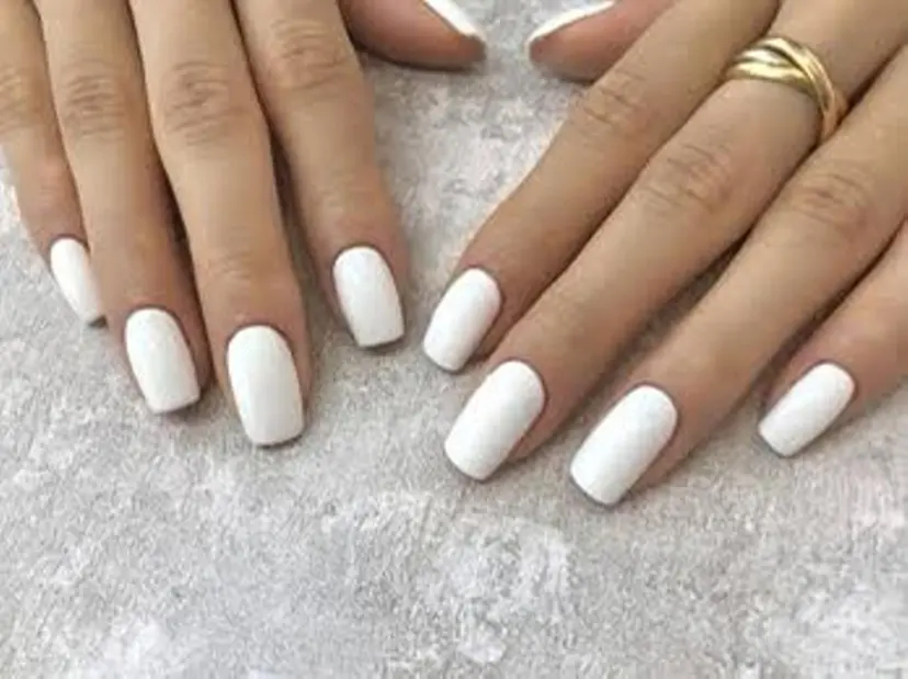 根本 恵里の掲載