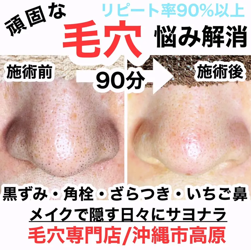 島袋 聡子の掲載