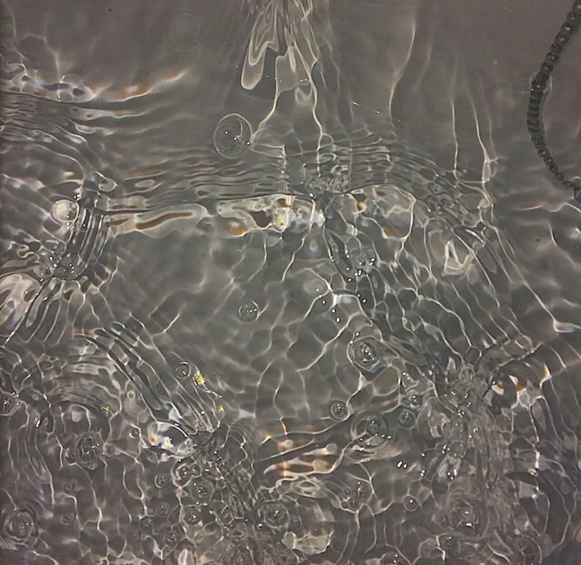 moon by sel. 天神大名の掲載