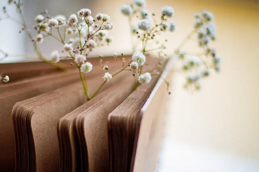 宜野湾Eyelash w/の掲載