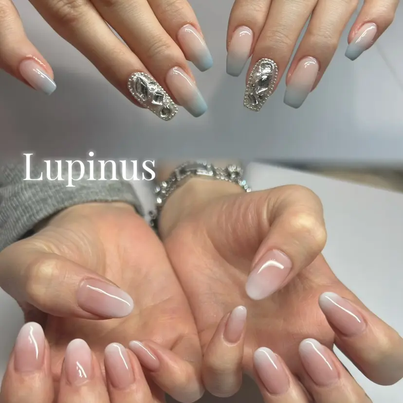南草津 Lupinusの掲載