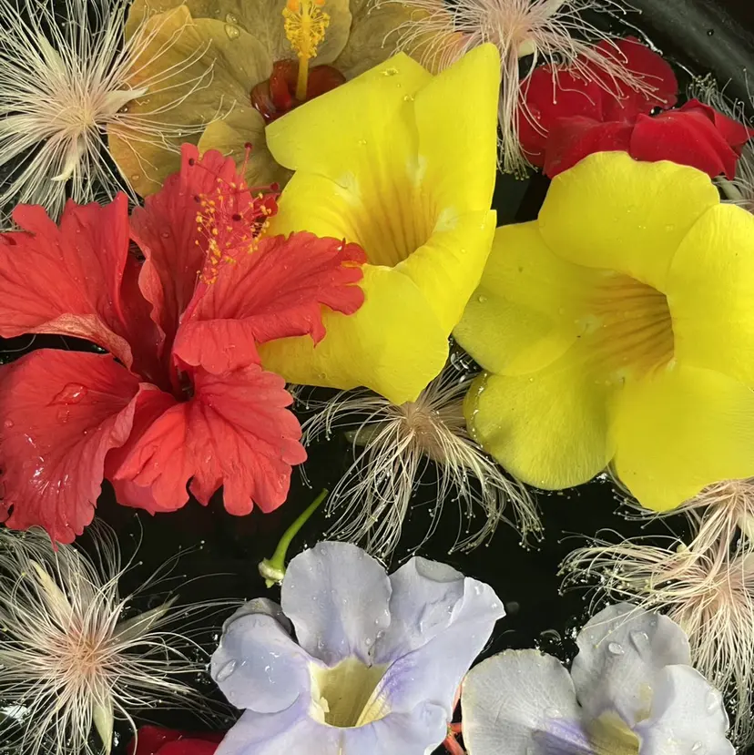 マツエク/ miyu🍒の掲載