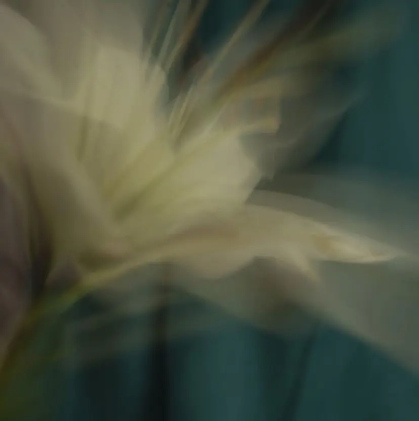 ayaka /Lits.表参道の掲載