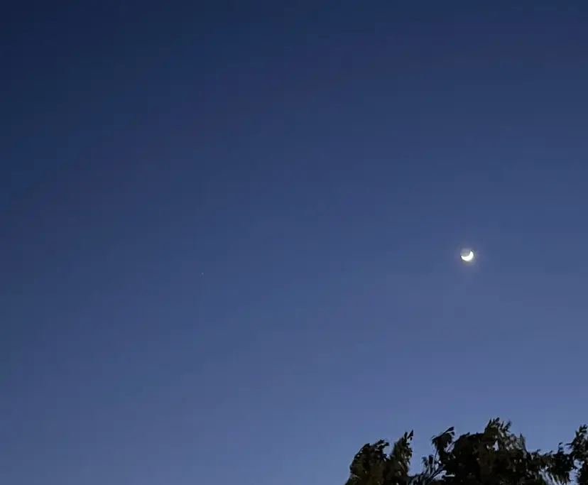 🐈‍⬛吉澤 汀彩🐈‍⬛の掲載