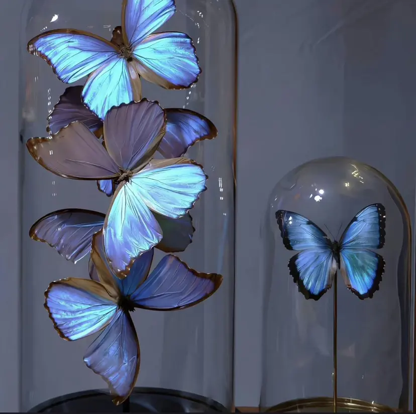 Arana池袋 Ayumi🦋の掲載