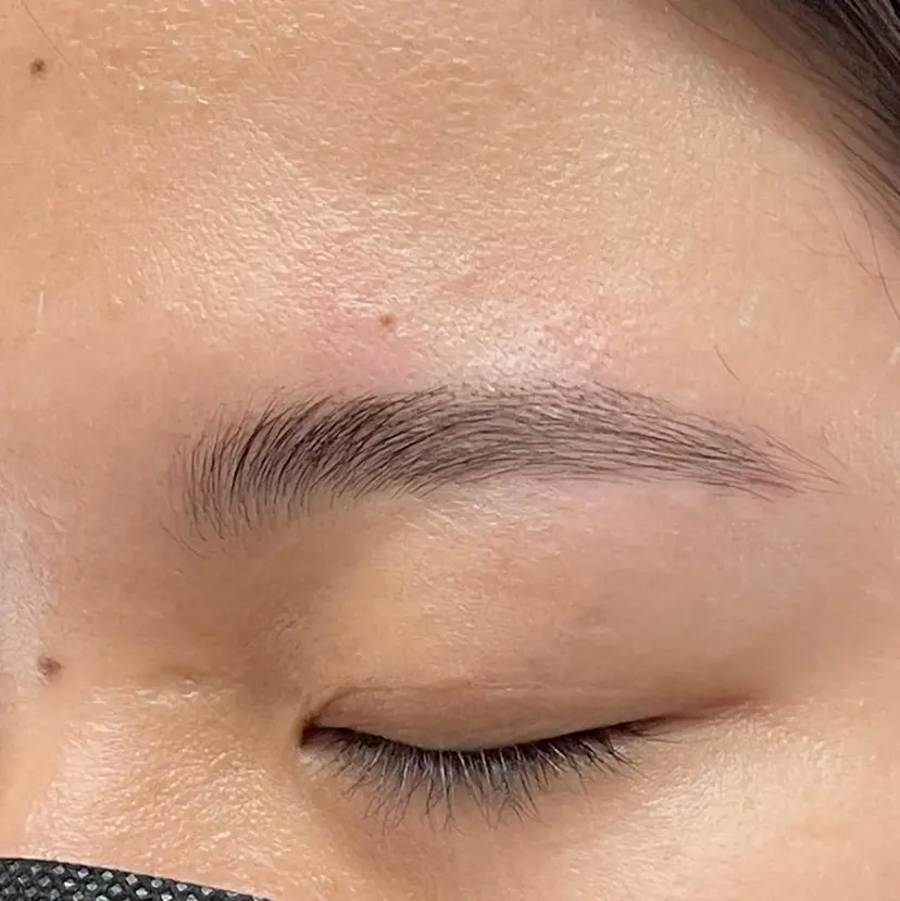 松本 綾子の掲載