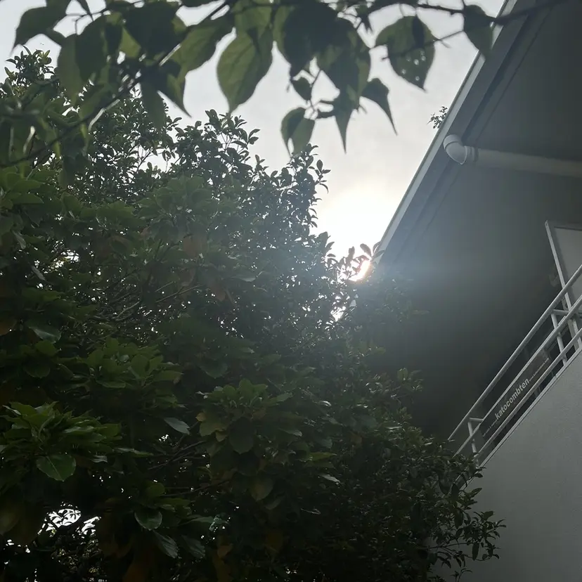 上米良 麻衣の掲載