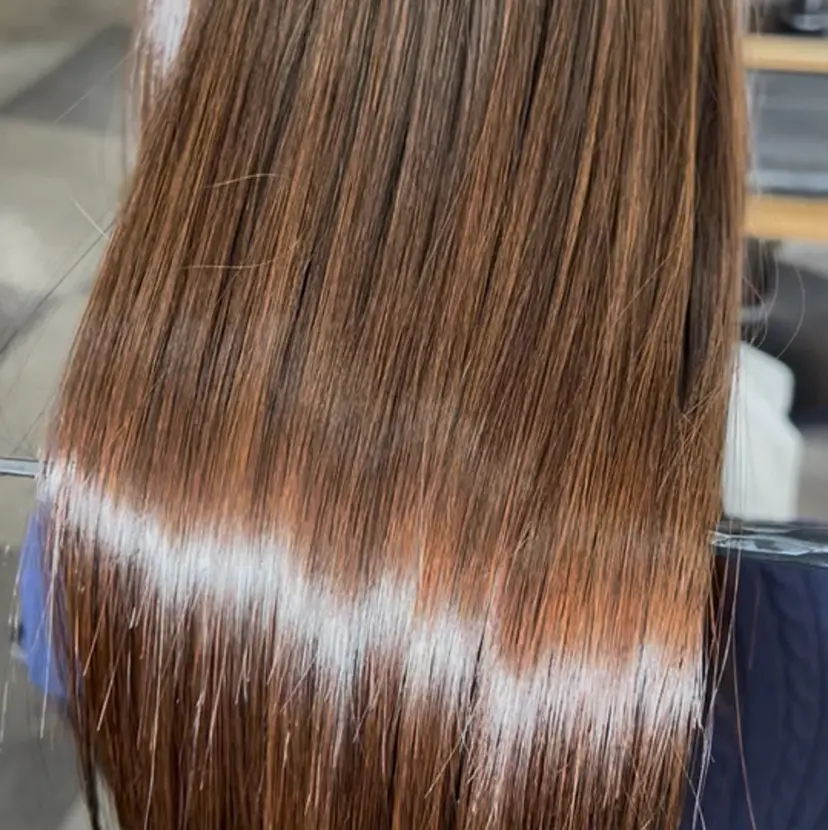 渡邊 和紀の掲載