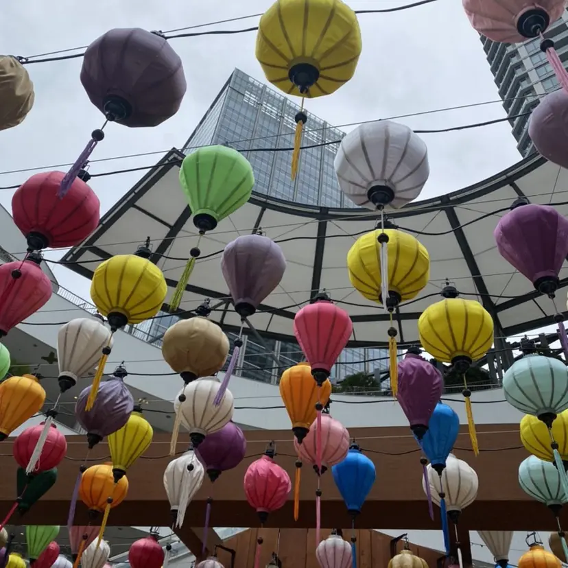 柴山 美芽の掲載