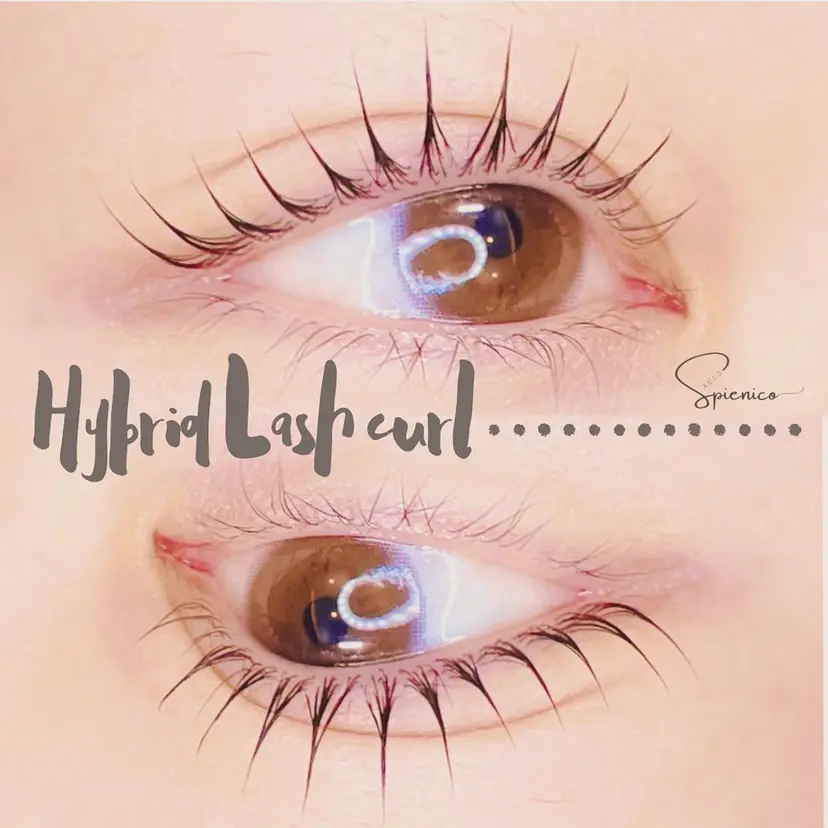 Eyelash Spienicoの掲載