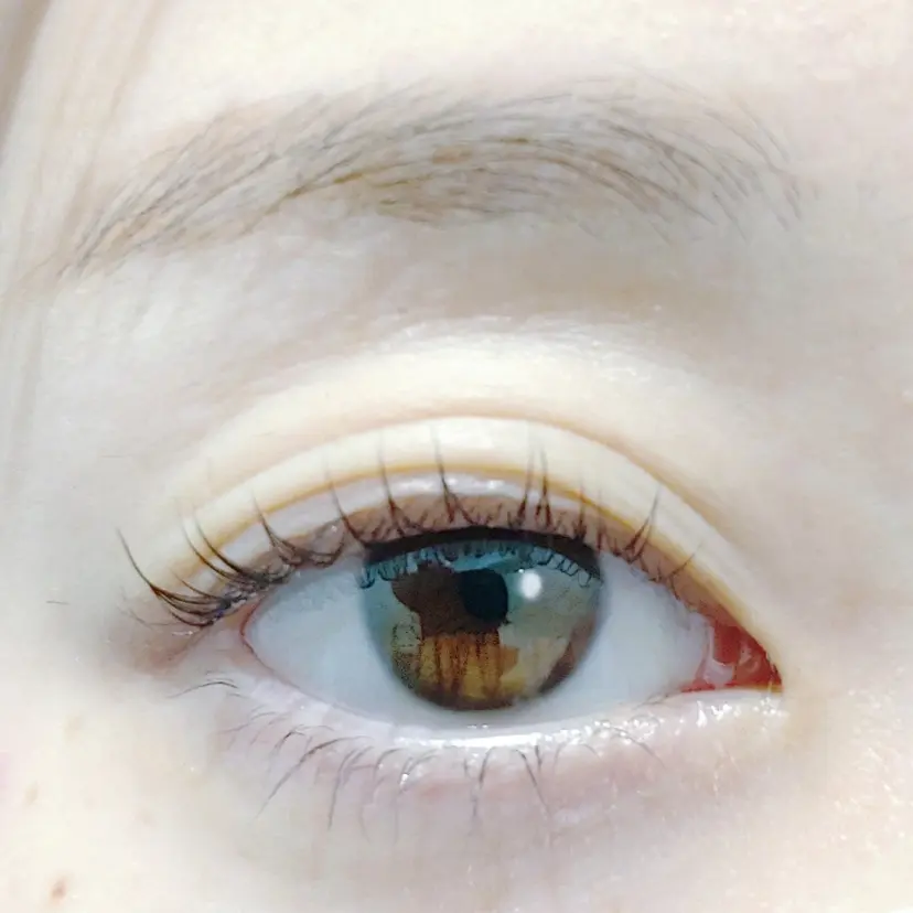 立川 amitie ほなみの掲載