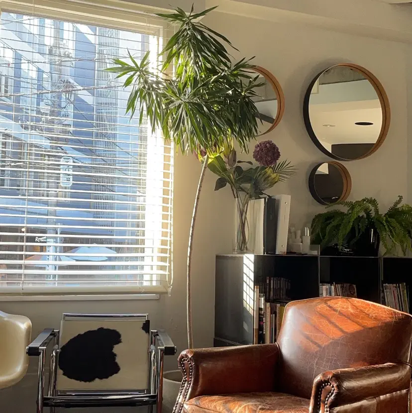 🍃透明感/デザイン 店長MASARU🍃の掲載