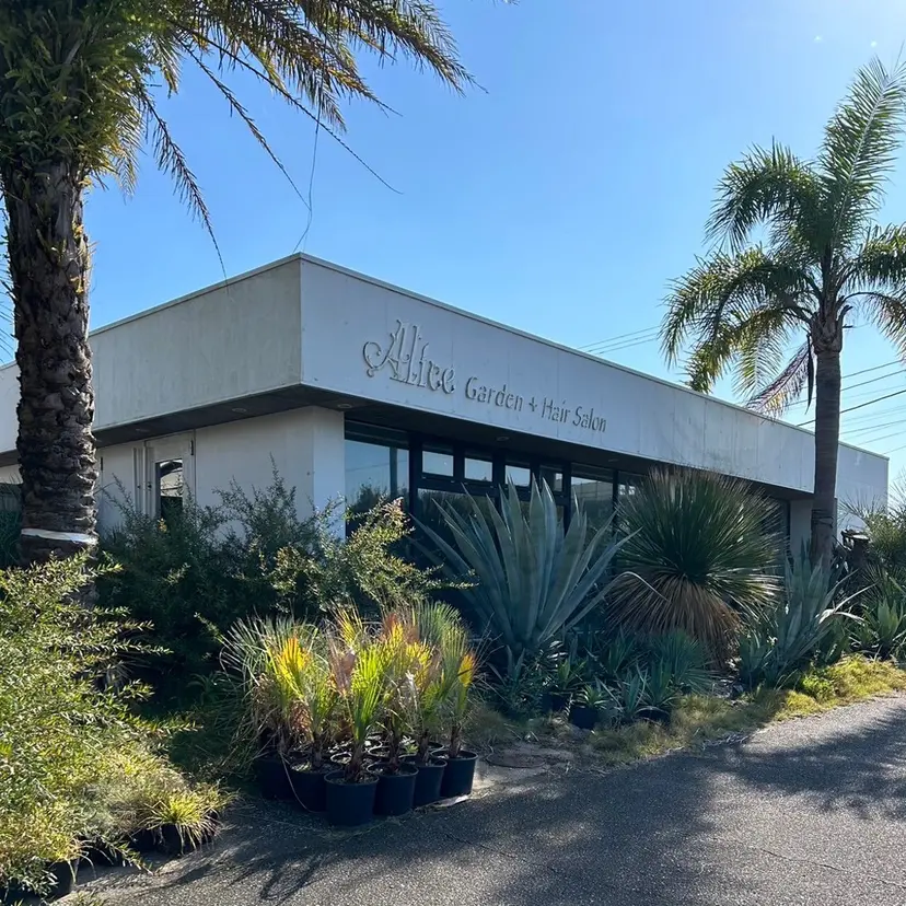 春成 佳那の掲載