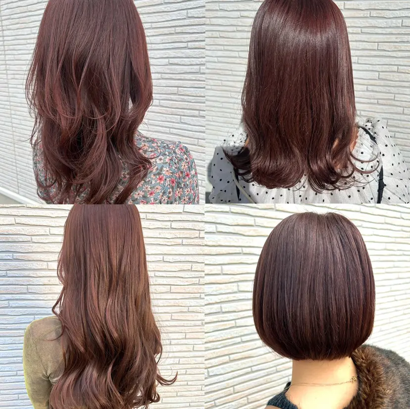 foglia🌼 根本結衣の掲載