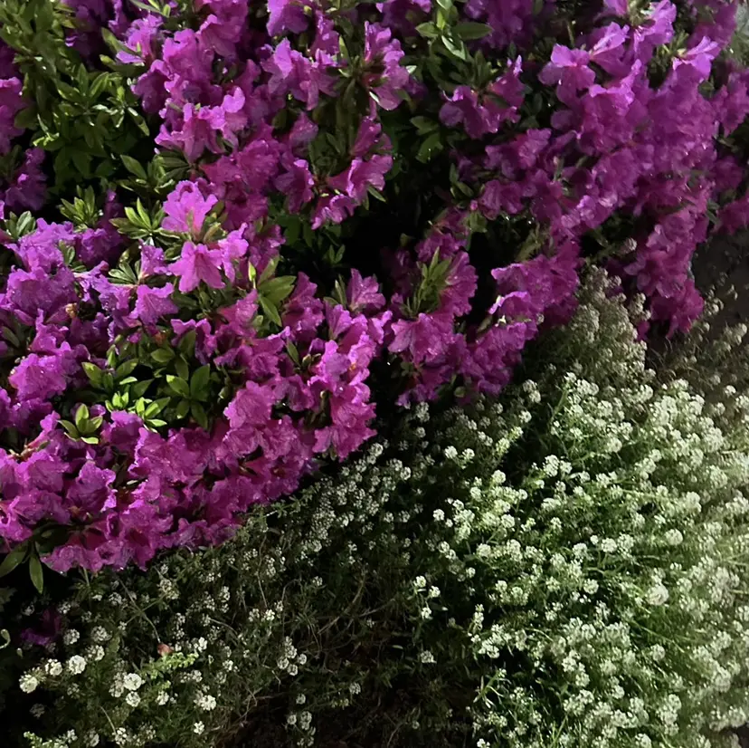 Riko/ カットモデル募集❤︎の掲載