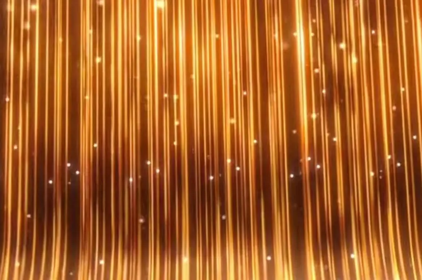 ベルス· アイラッシュの掲載