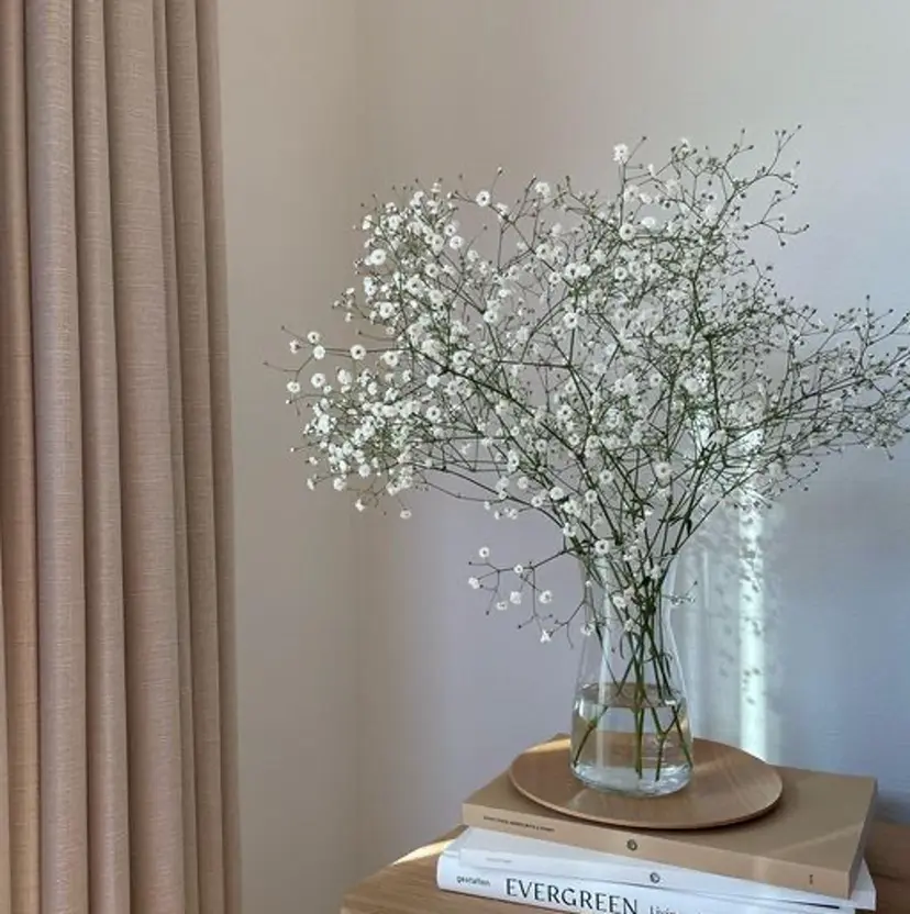 Kawai Hiromiの掲載