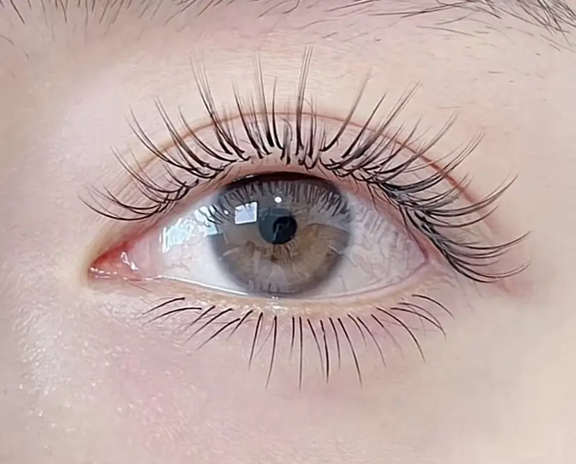 金田 ひかりの掲載