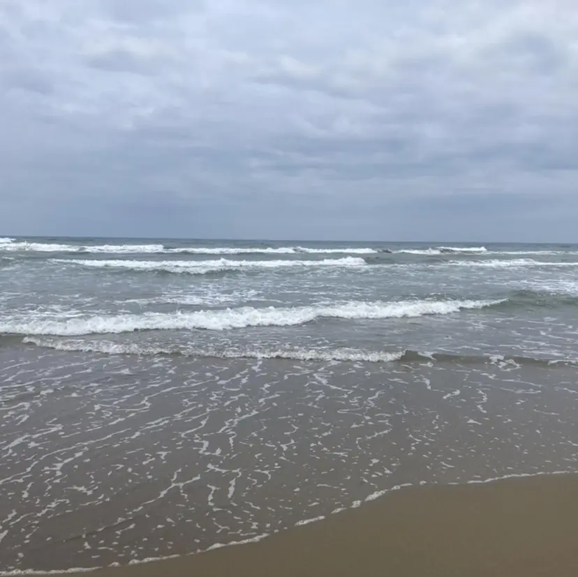 海琉/ハイトーン/ 透明感カラー💛の掲載