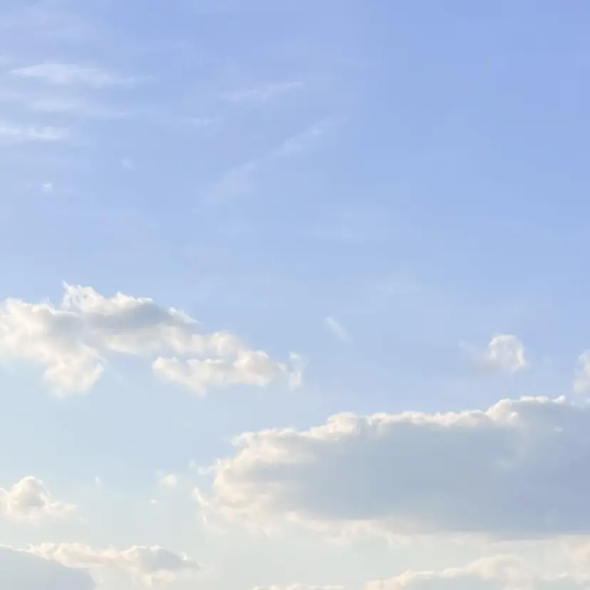 たかはた すずかの掲載