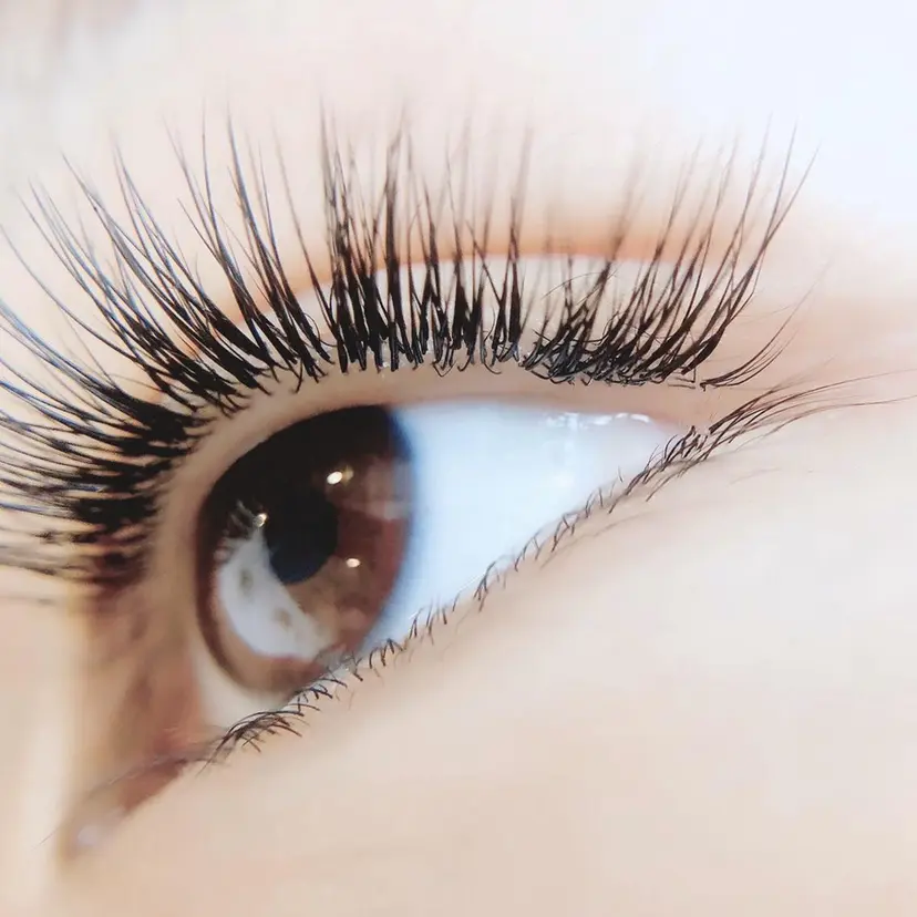 茂木 さえの掲載