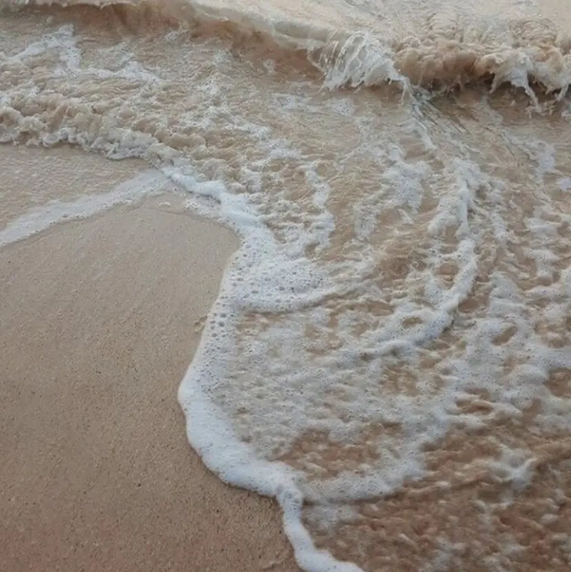 APOLLO♡ ＭＩＯの掲載