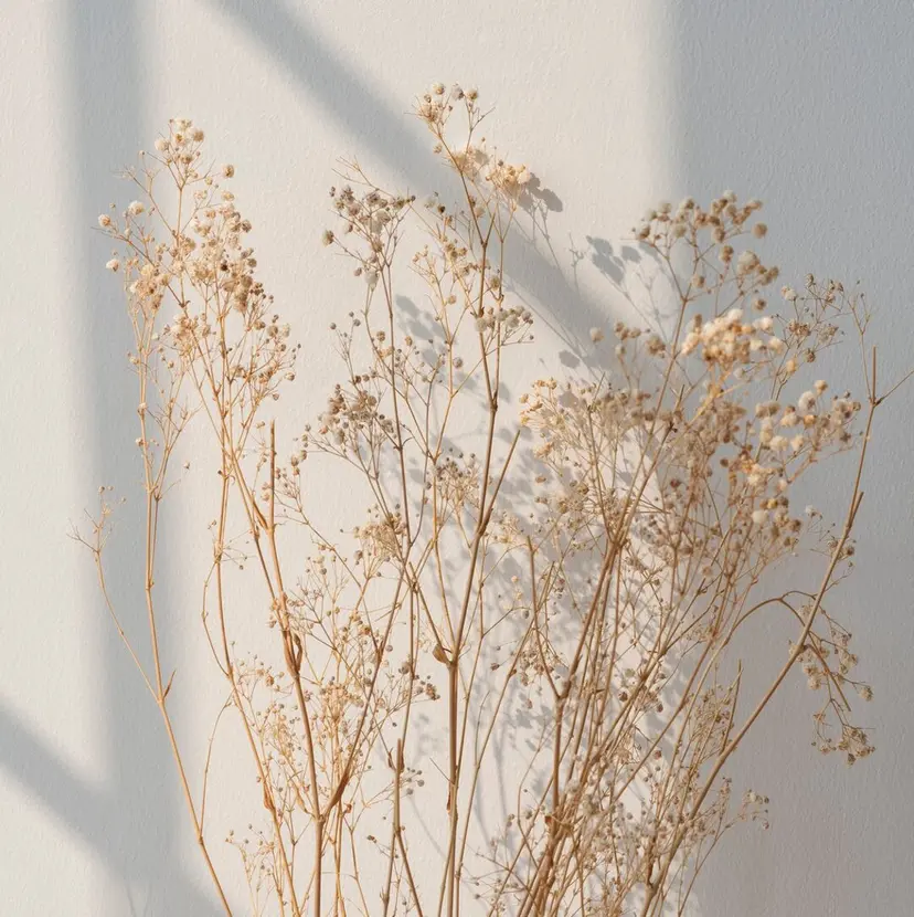 LULU kazuyoの掲載