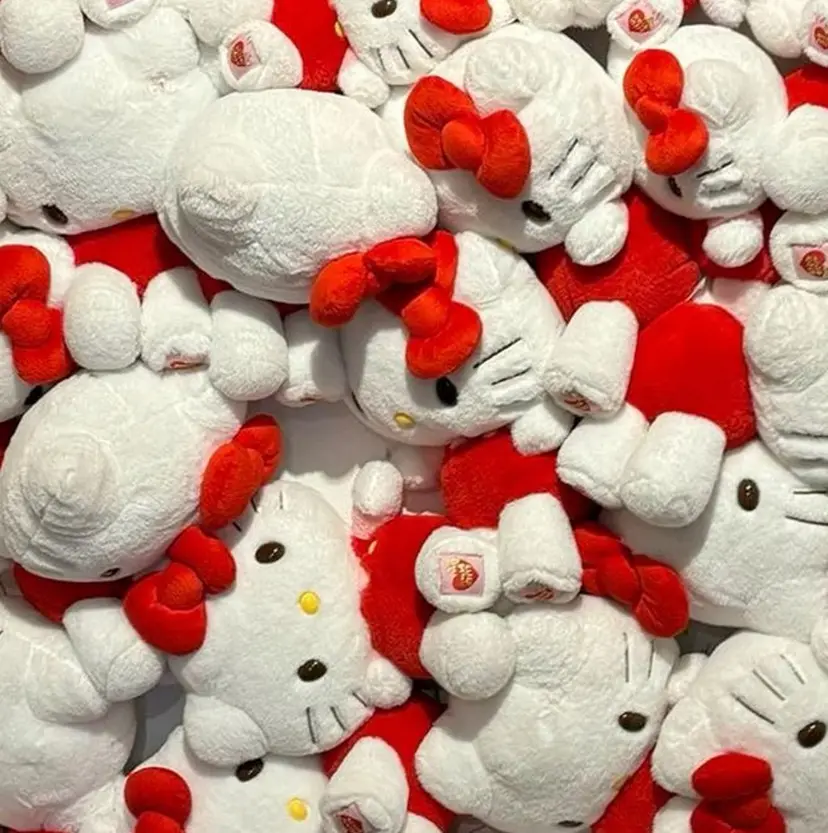 🐈‍⬛ HIORIの掲載