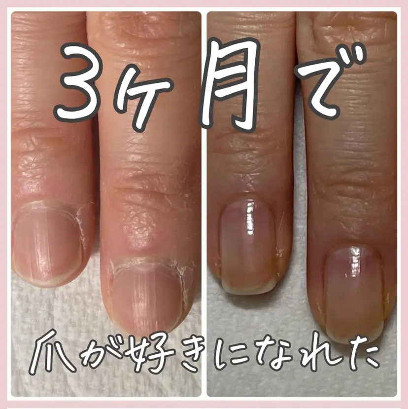 home salon plumeriaの掲載