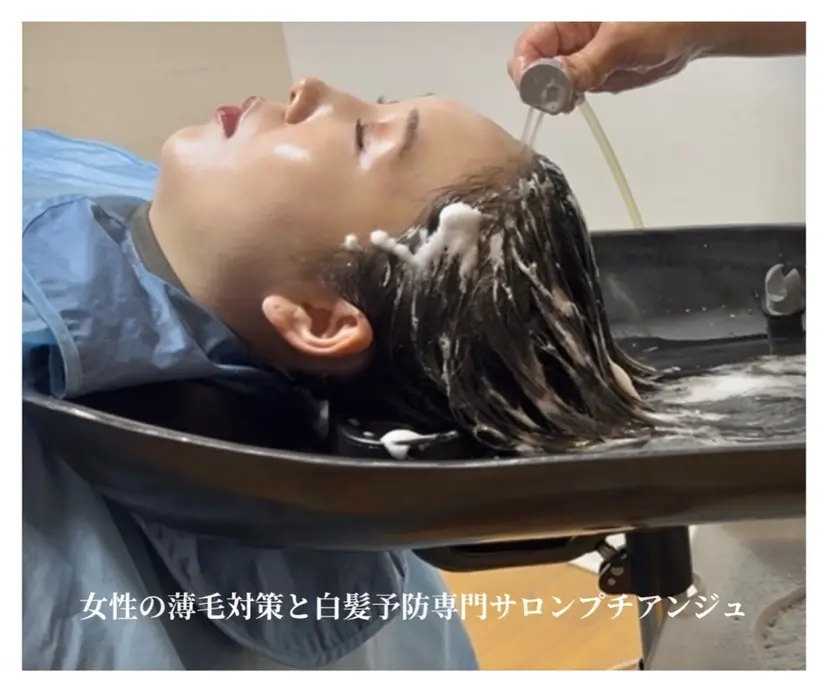 オノ フミエの掲載